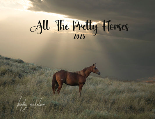 "All The Pretty Horses" 2025 Calendar