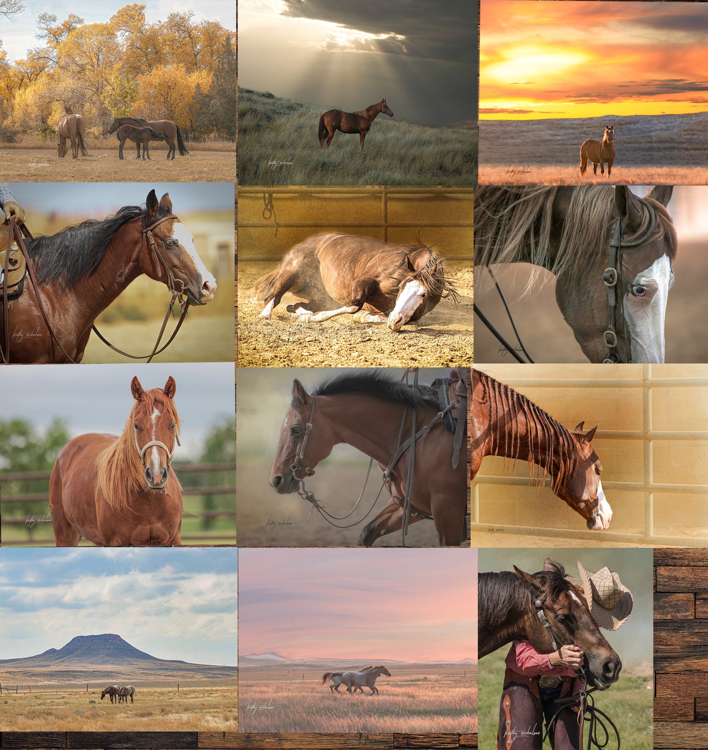 "All The Pretty Horses" 2025 Calendar